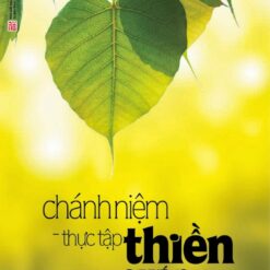 Chánh niệm thực tập thiền quán
