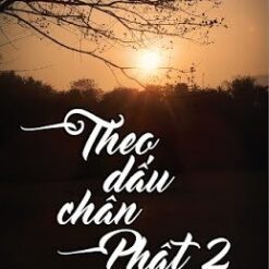 Theo dấu chân Phật 2