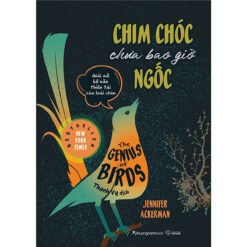 Chim Chóc Chưa Bao Giờ Ngốc- NHÀ SÁCH VĨNH THỤY 0906.708.105