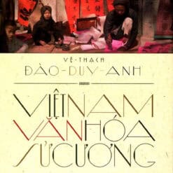 Việt Nam văn hóa sử cương